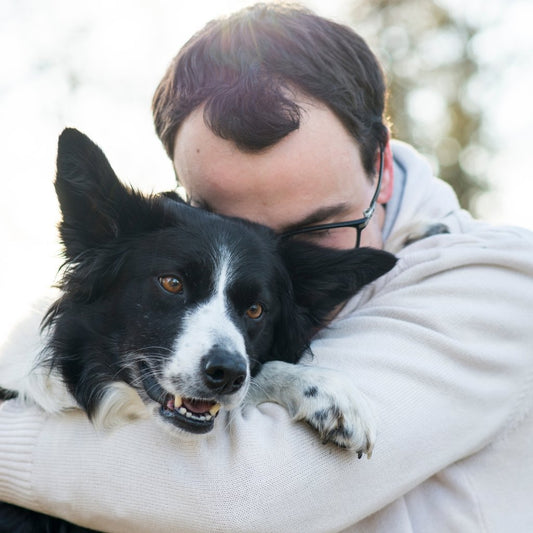 Separation Anxiety in Dog Owners: How to Recognize and Manage It - Always Buddies