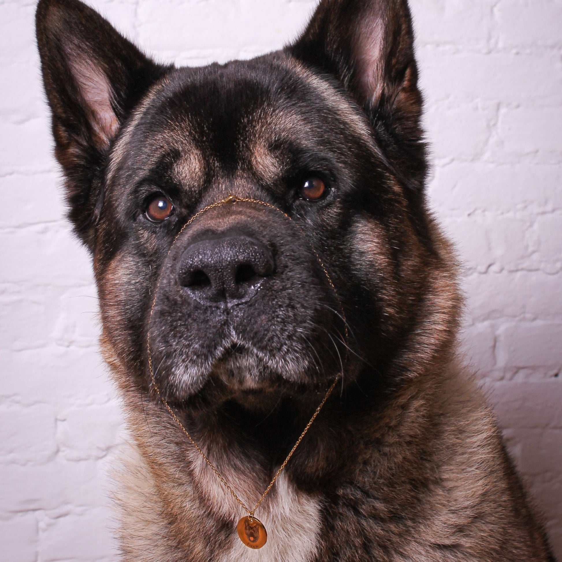 Lifelike Pet Necklace - Always Buddies