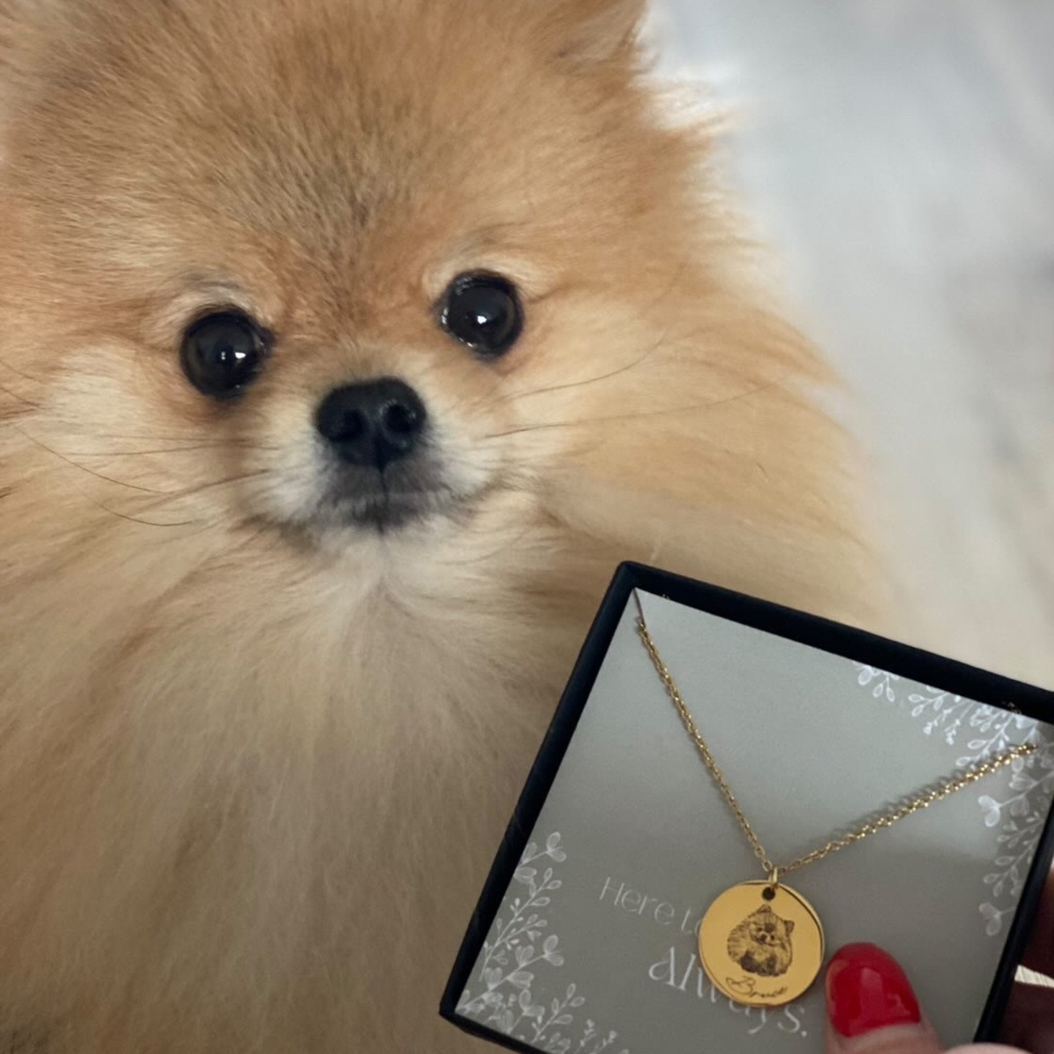 Dog picture shop made into necklace