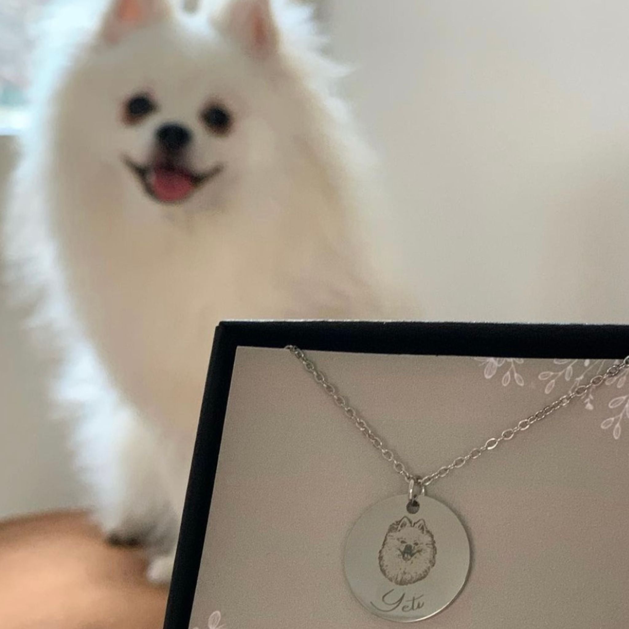 Photo shop pet necklace